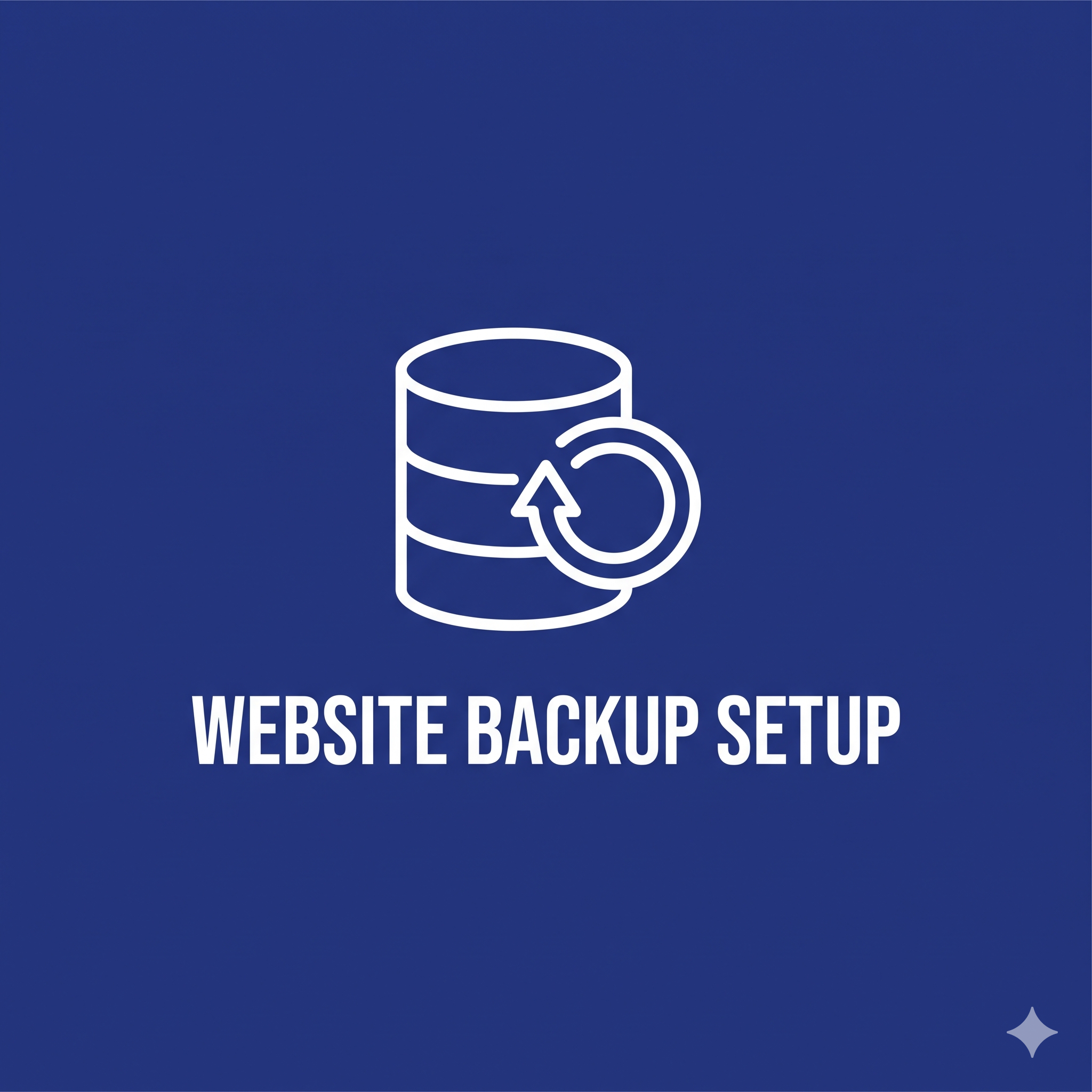 Website Backup Setup