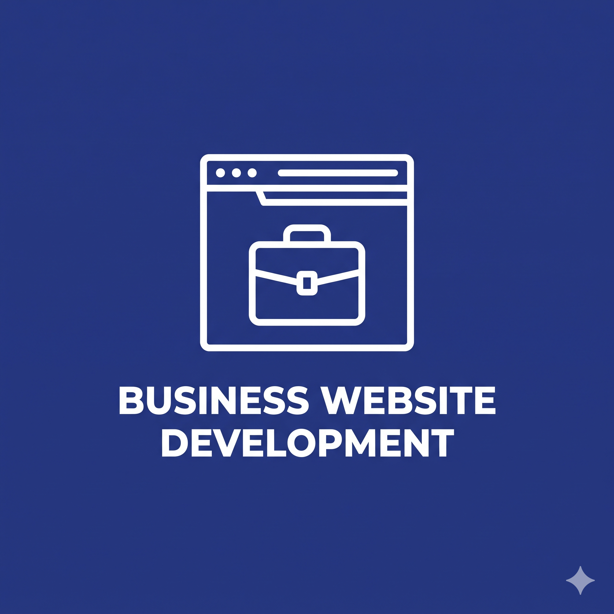 Business Website Development