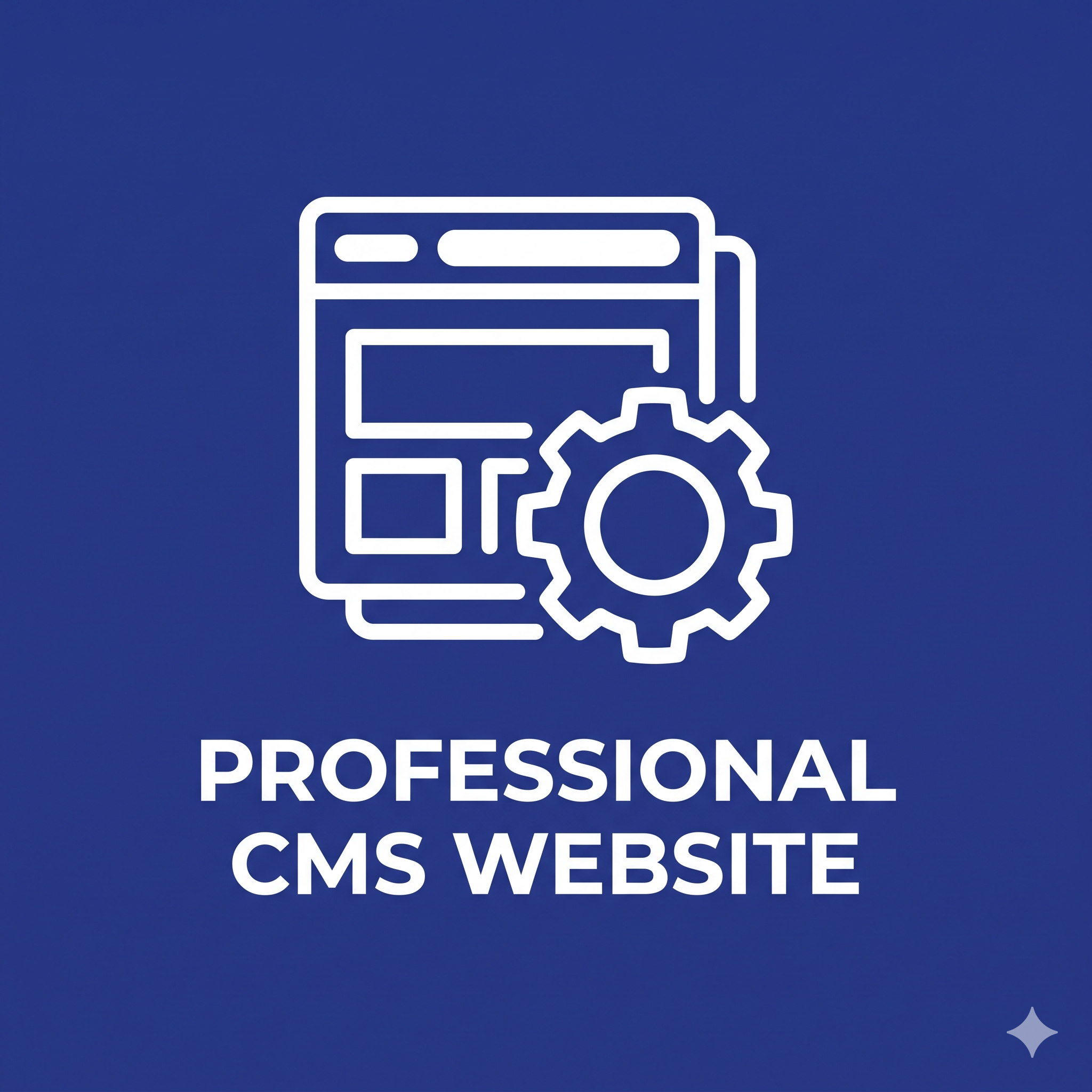 Professional CMS Website
